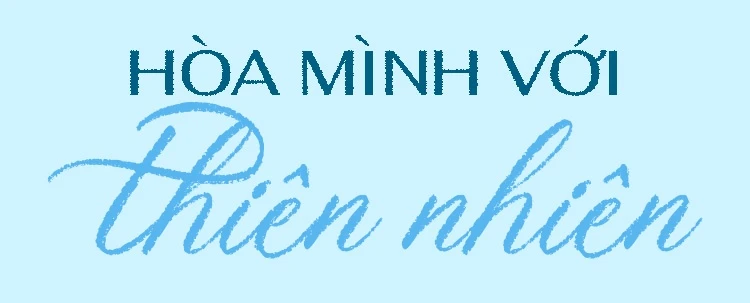 Chuyến du lịch hè ở Côn Đảo