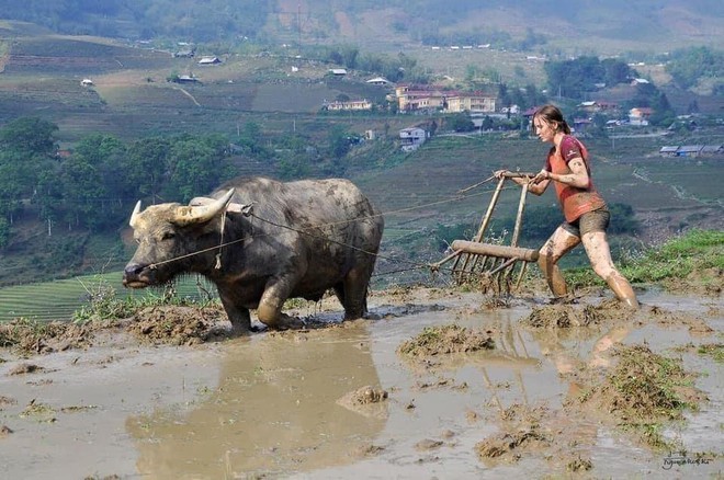 Du lịch Sapa 