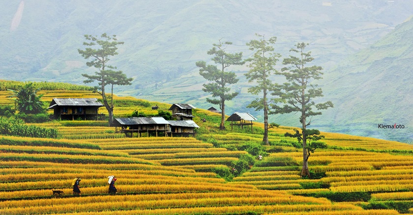 Du lịch Sapa
