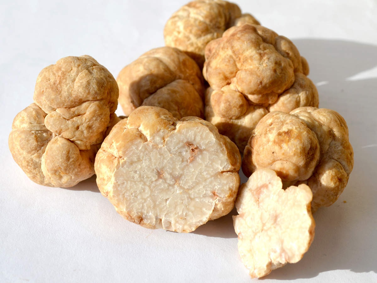 Những món ăn xa xỉ của giới thượng lưu, giá "trên trời"!
