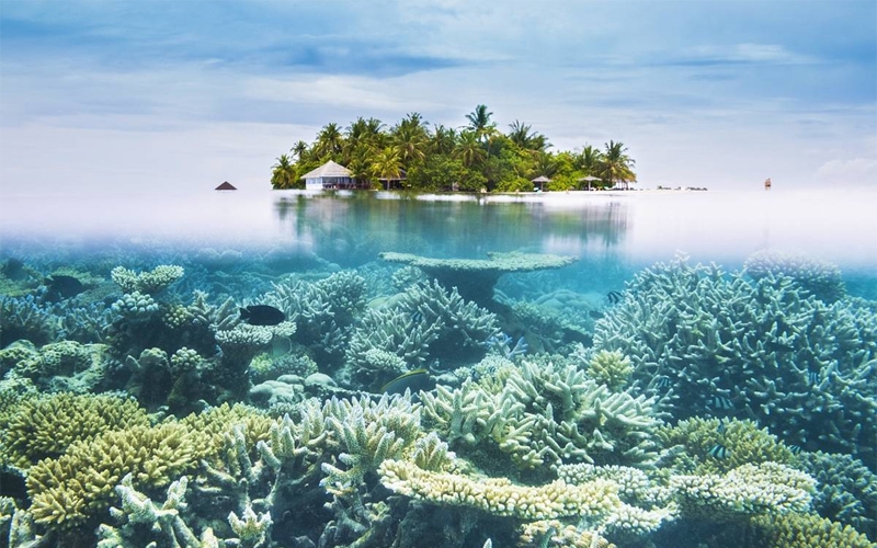 Du lịch Maldives