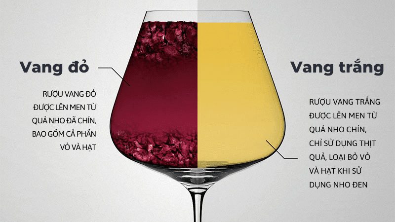 Sức quyến rũ khác biệt giữa vang đỏ và vang trắng