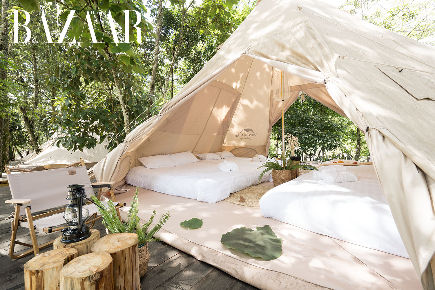 Top 3 địa điểm cắm trại glamping sang chảnh tại Việt Nam