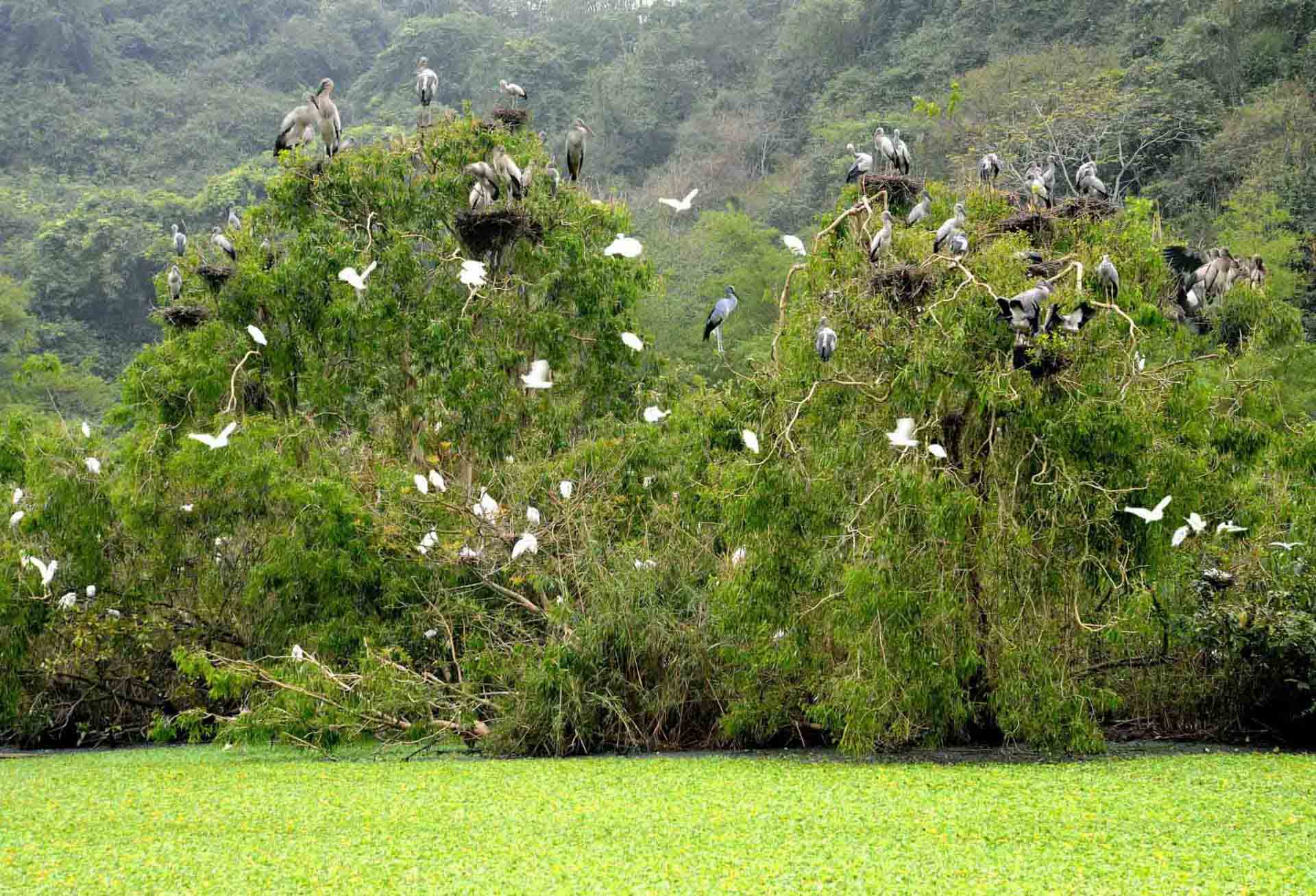Du lịch Ninh Bình