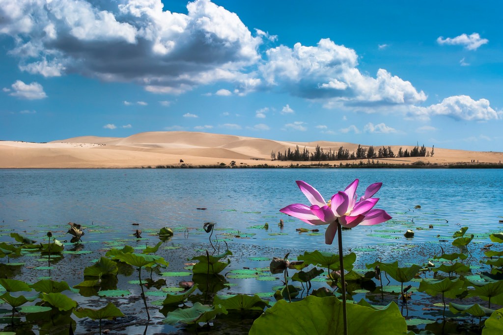 Du lịch Mũi Né 