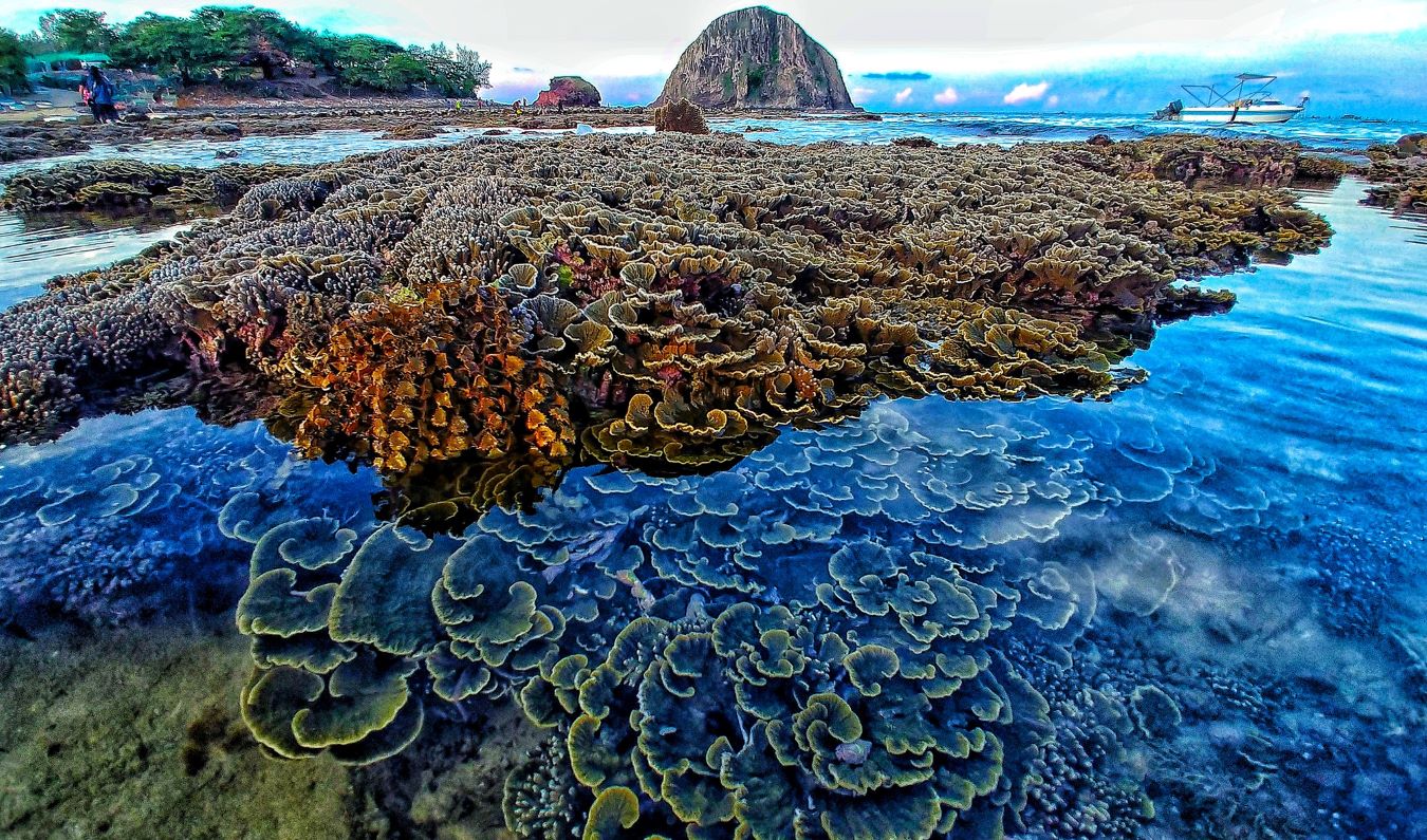 Du lịch Phú Yên