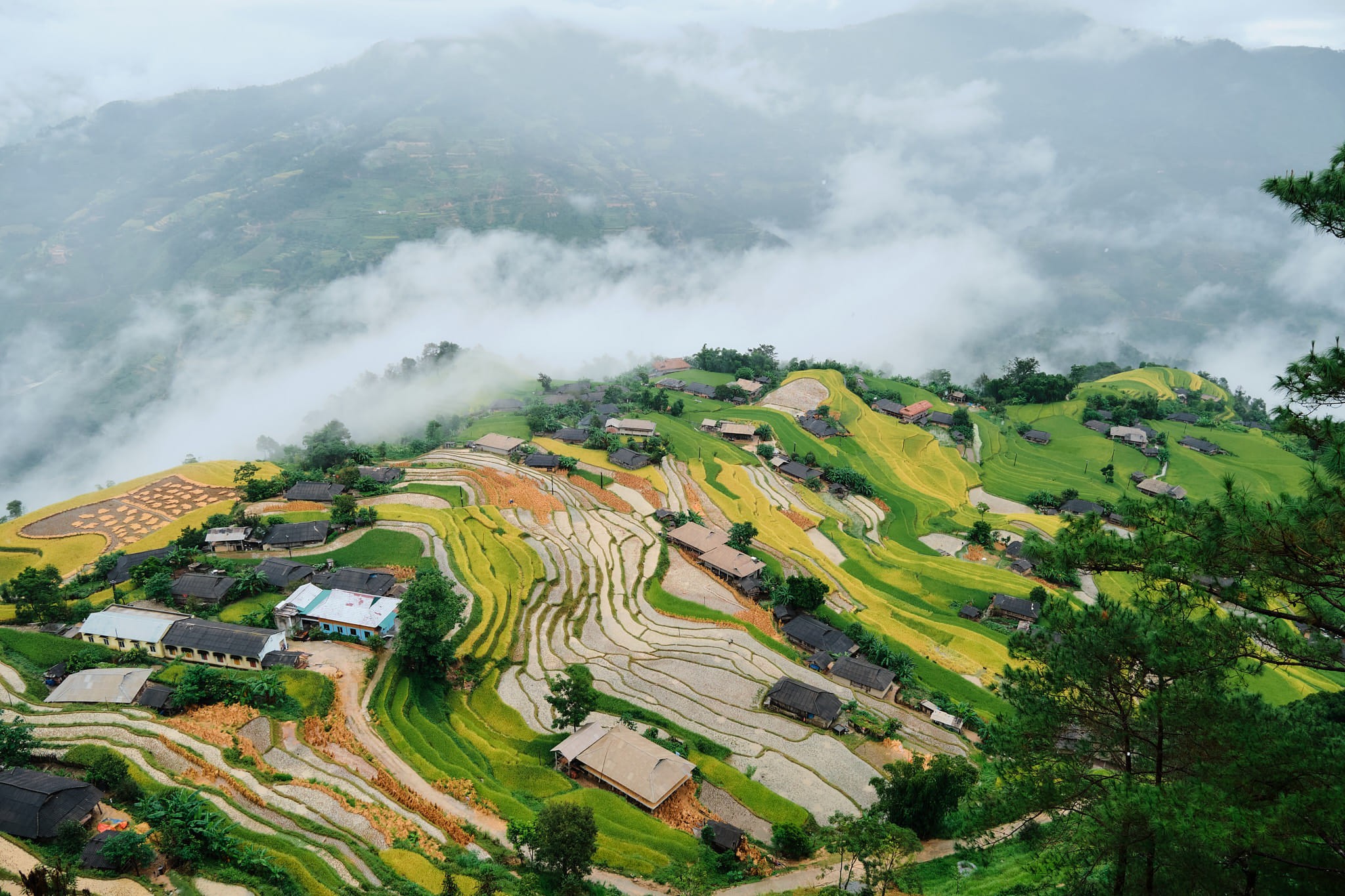 Du lịch Mù Cang Chải