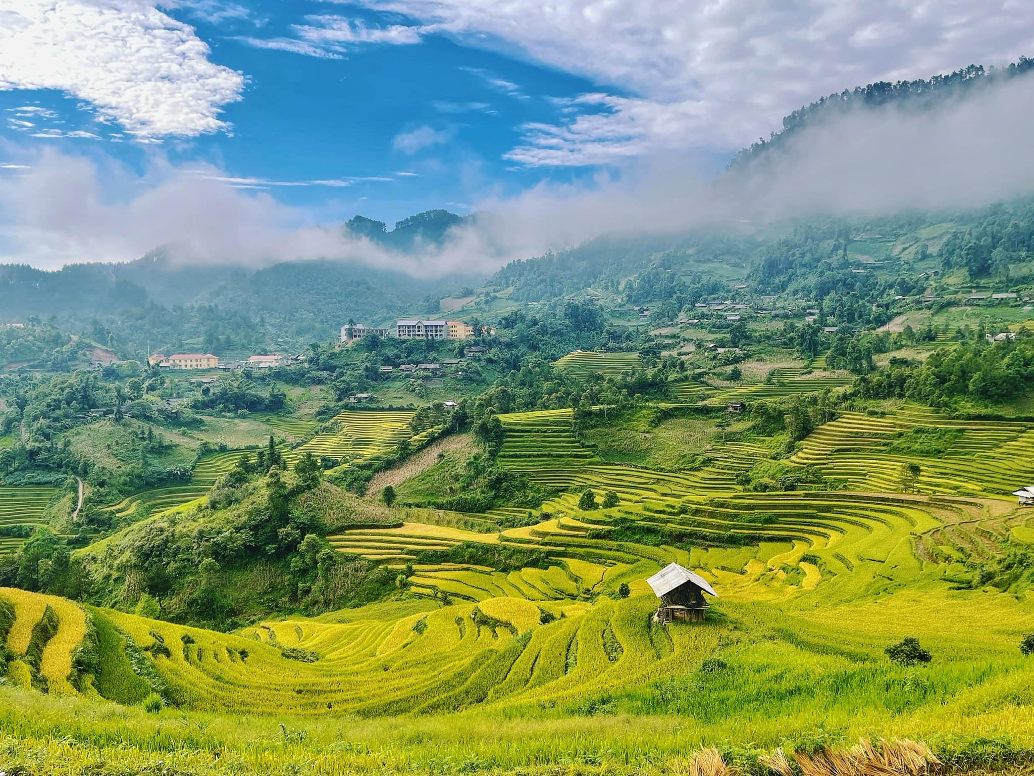Du lịch Mù Cang Chải