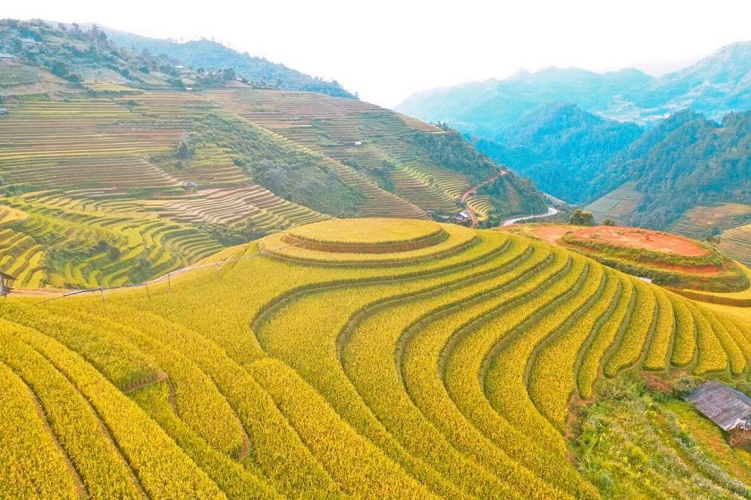 Bật mí tọa độ săn mùa vàng tuyệt đẹp tại dải đất hình chữ S