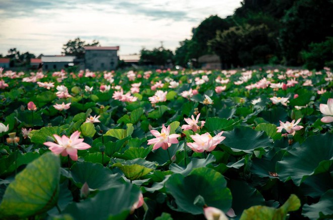 Du lịch Ninh Bình