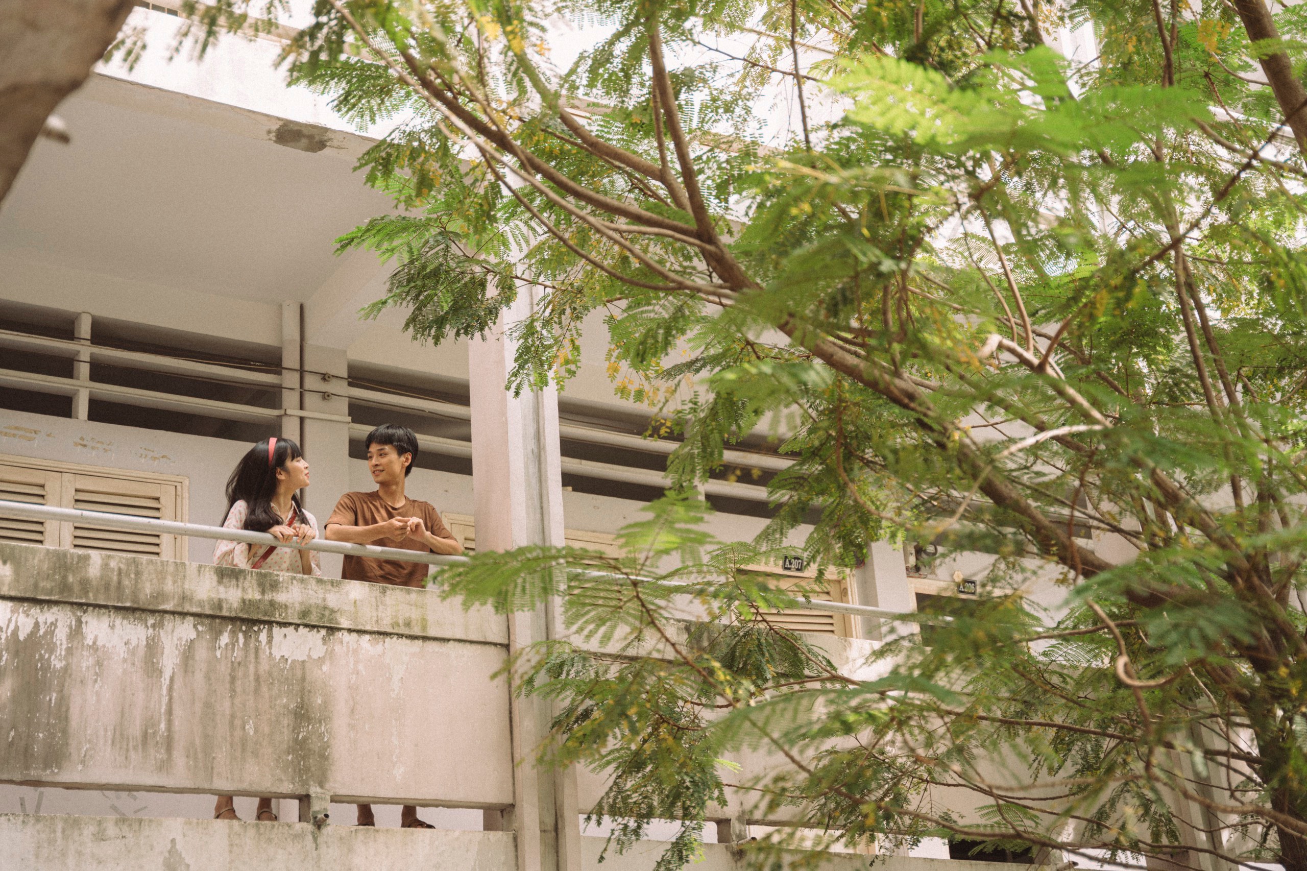 Phim Mùa hè đẹp nhất