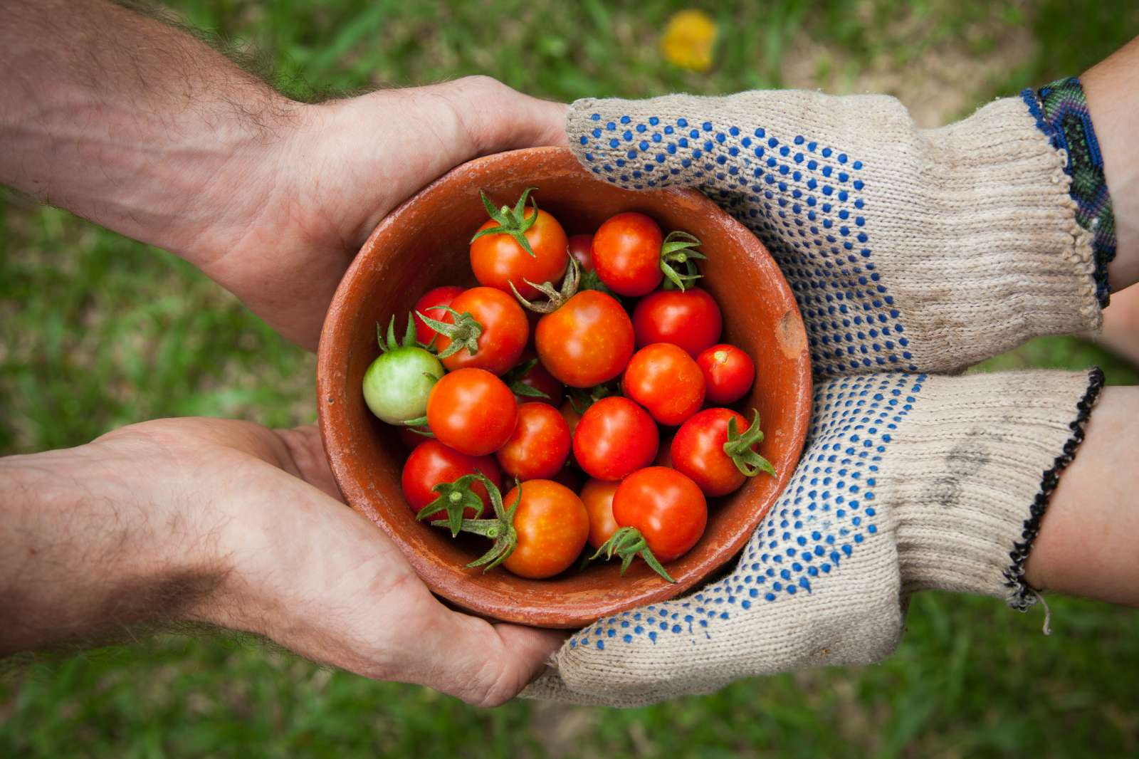 Xu hướng ẩm thực locavore: Tôn vinh sản vật địa phương