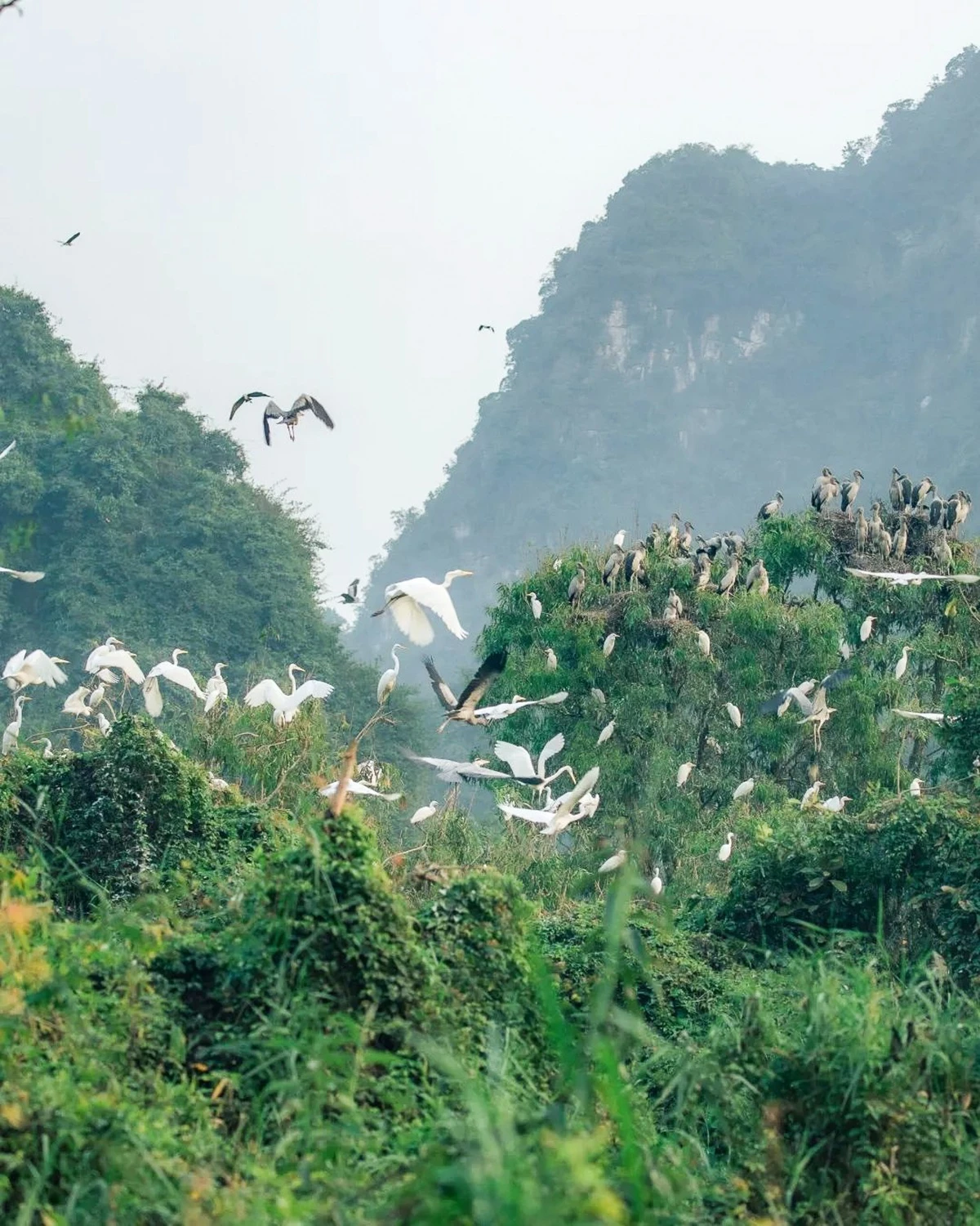 Du lịch Ninh Bình