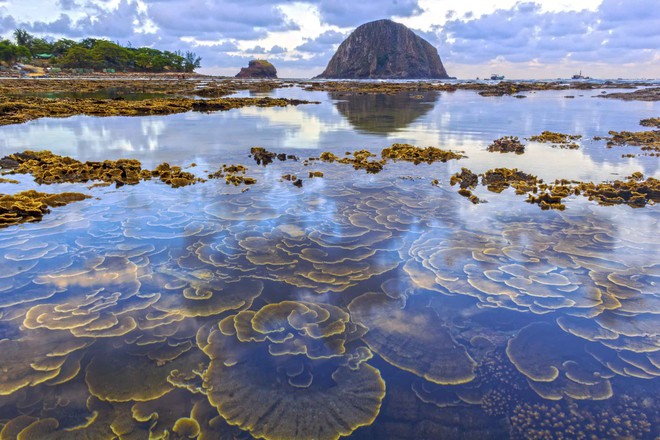Du lịch Phú Yên