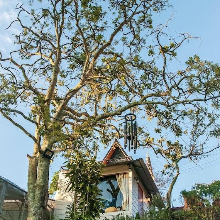 Homestay tại Đà Lạt