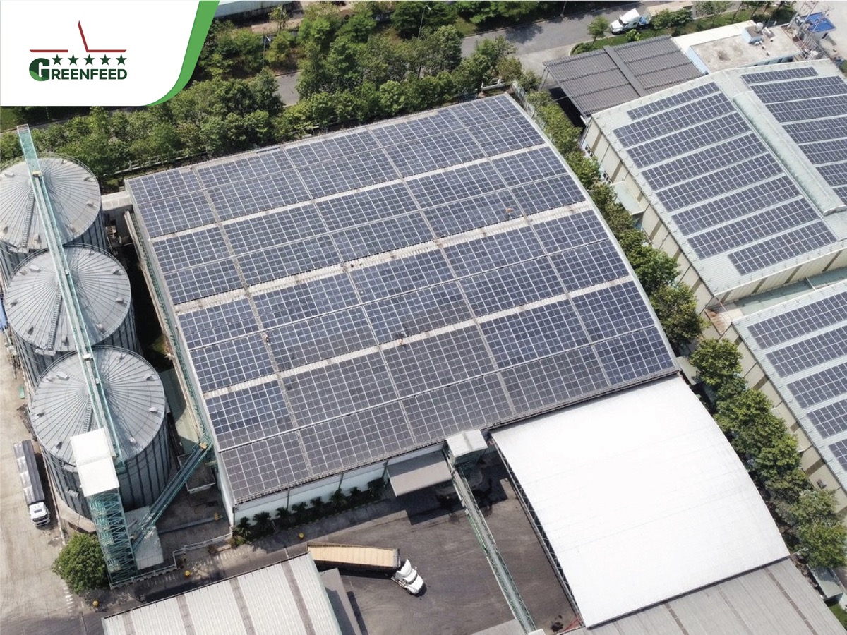 GREENFEED Việt Nam lần thứ 2 đạt được giải thưởng quốc tế