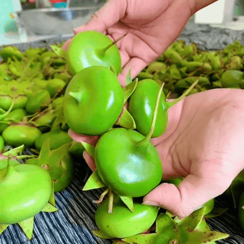 Đặc sản miền Tây