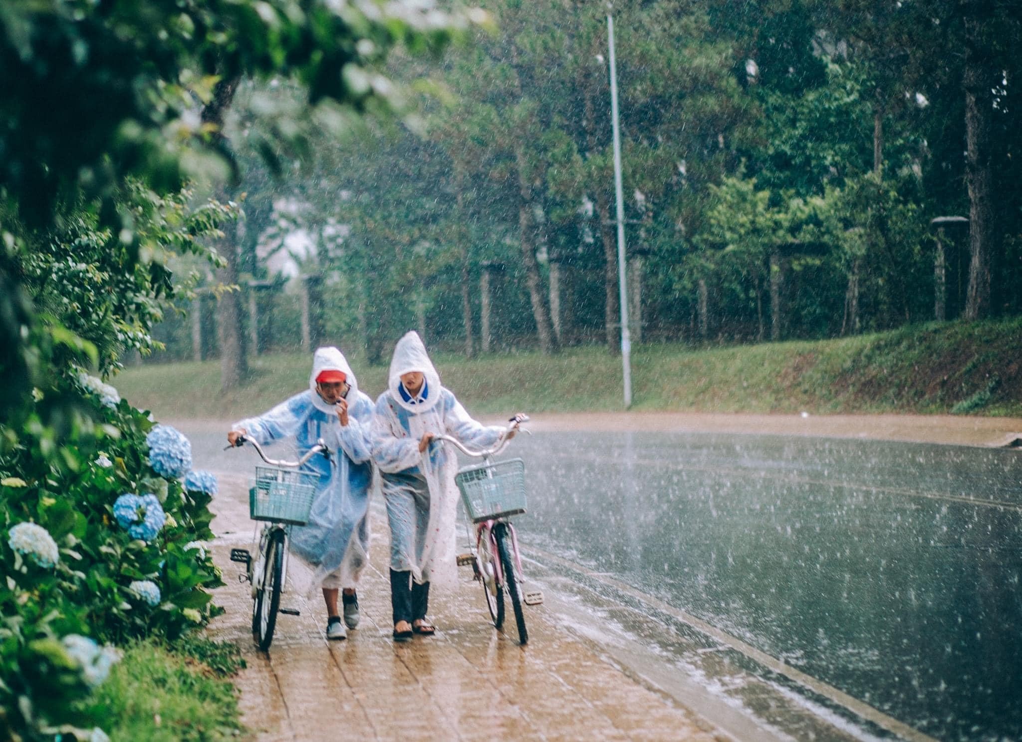 Du lịch Đà Lạt