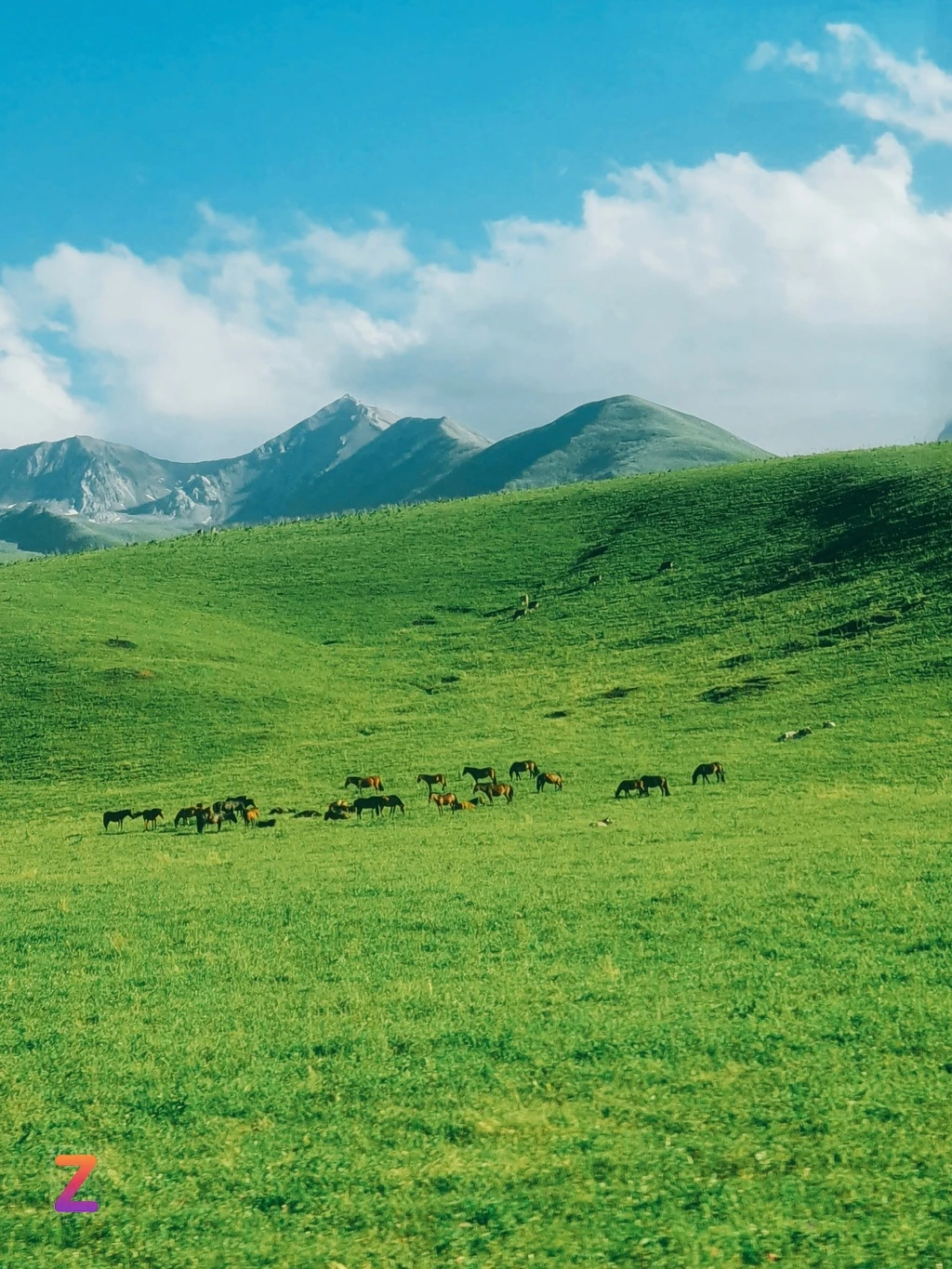 Du lịch Tân Cương