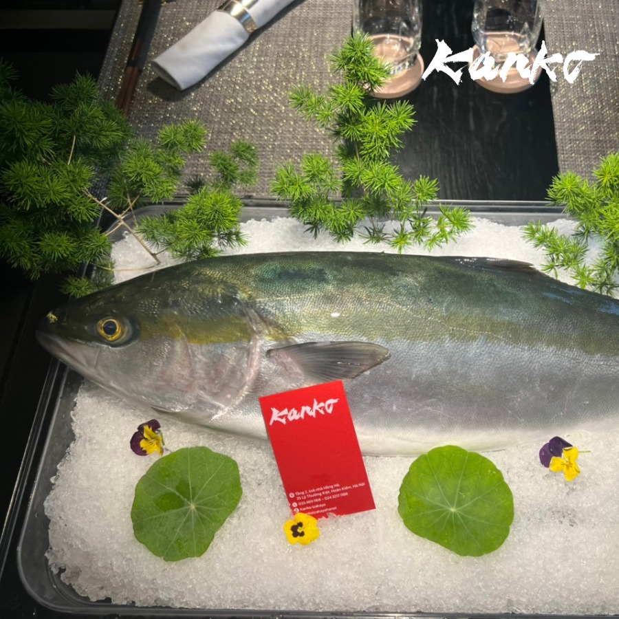 Điểm danh 5 nhà hàng Omakase thượng hạng được yêu thích tại Hà Nội