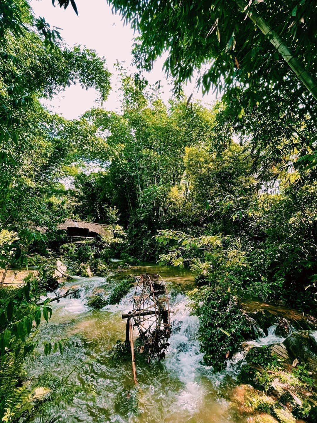 Top 3 resort Mộc Châu giá rẻ VIEW CỰC ĐẸP decor xinh đáng để dừng chân