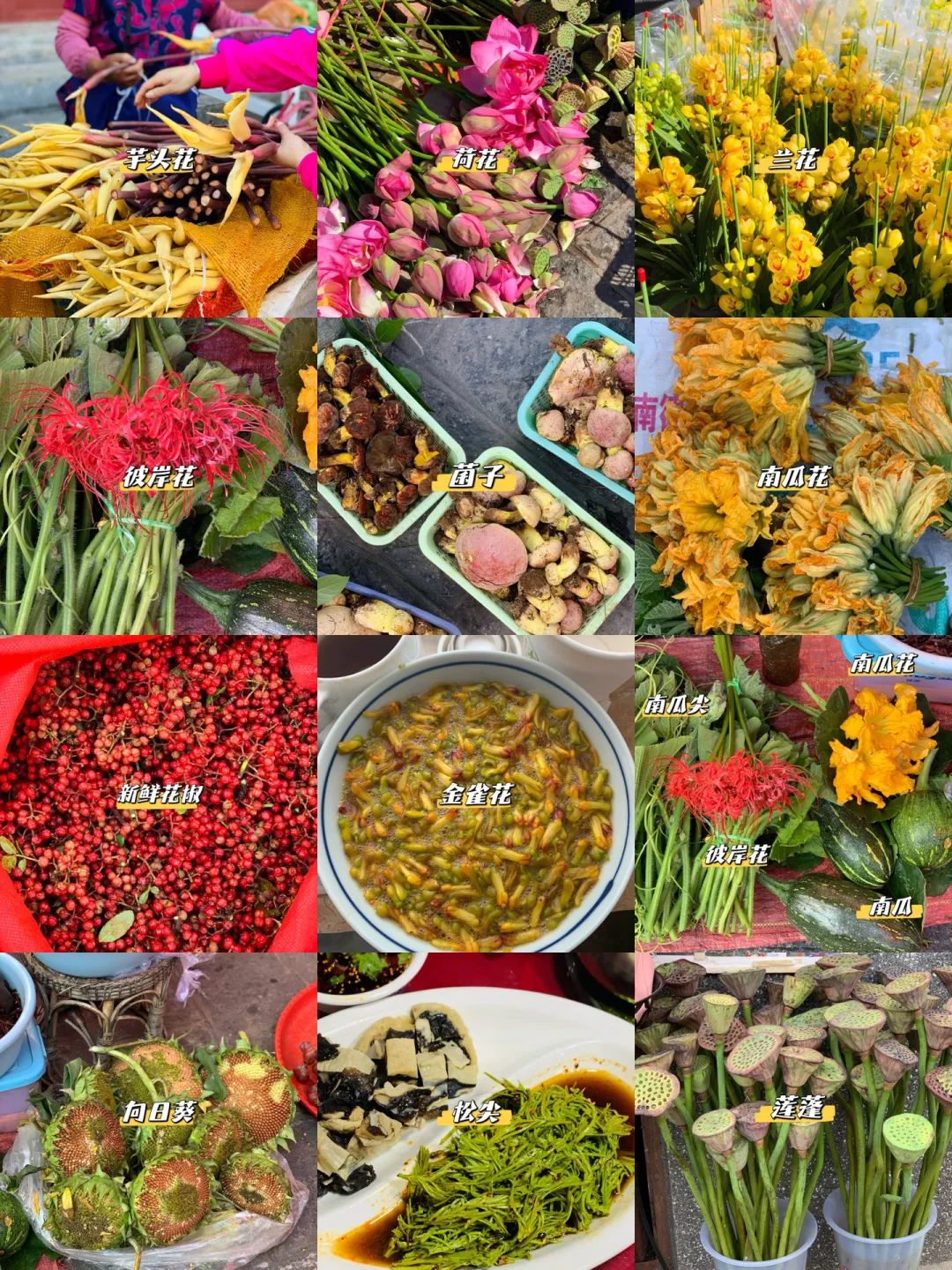 Ẩm thực Vân Nam (Trung Quốc)