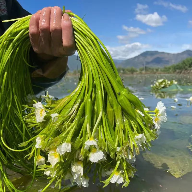 Ẩm thực Vân Nam (Trung Quốc)