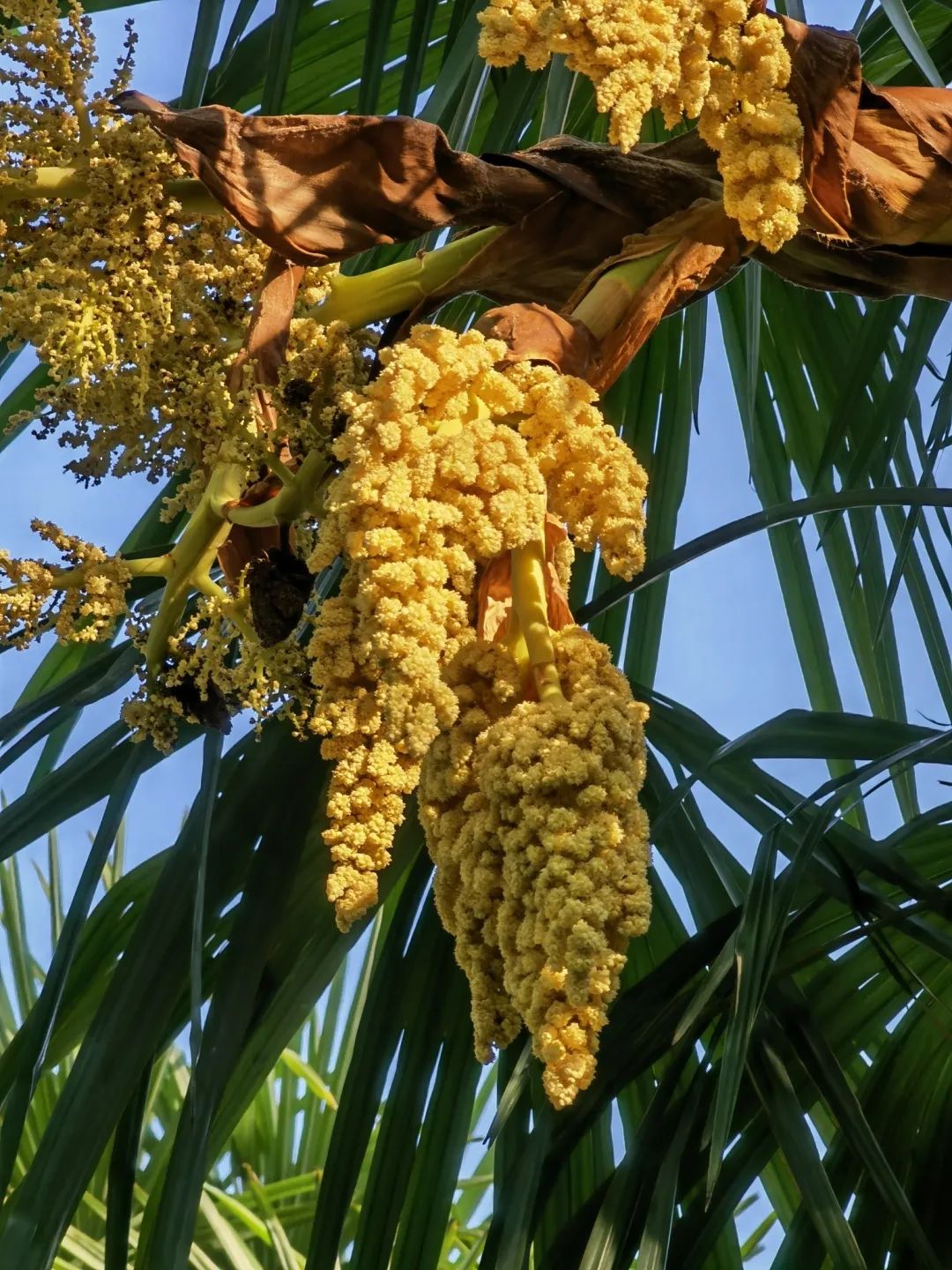 Ẩm thực Vân Nam (Trung Quốc)
