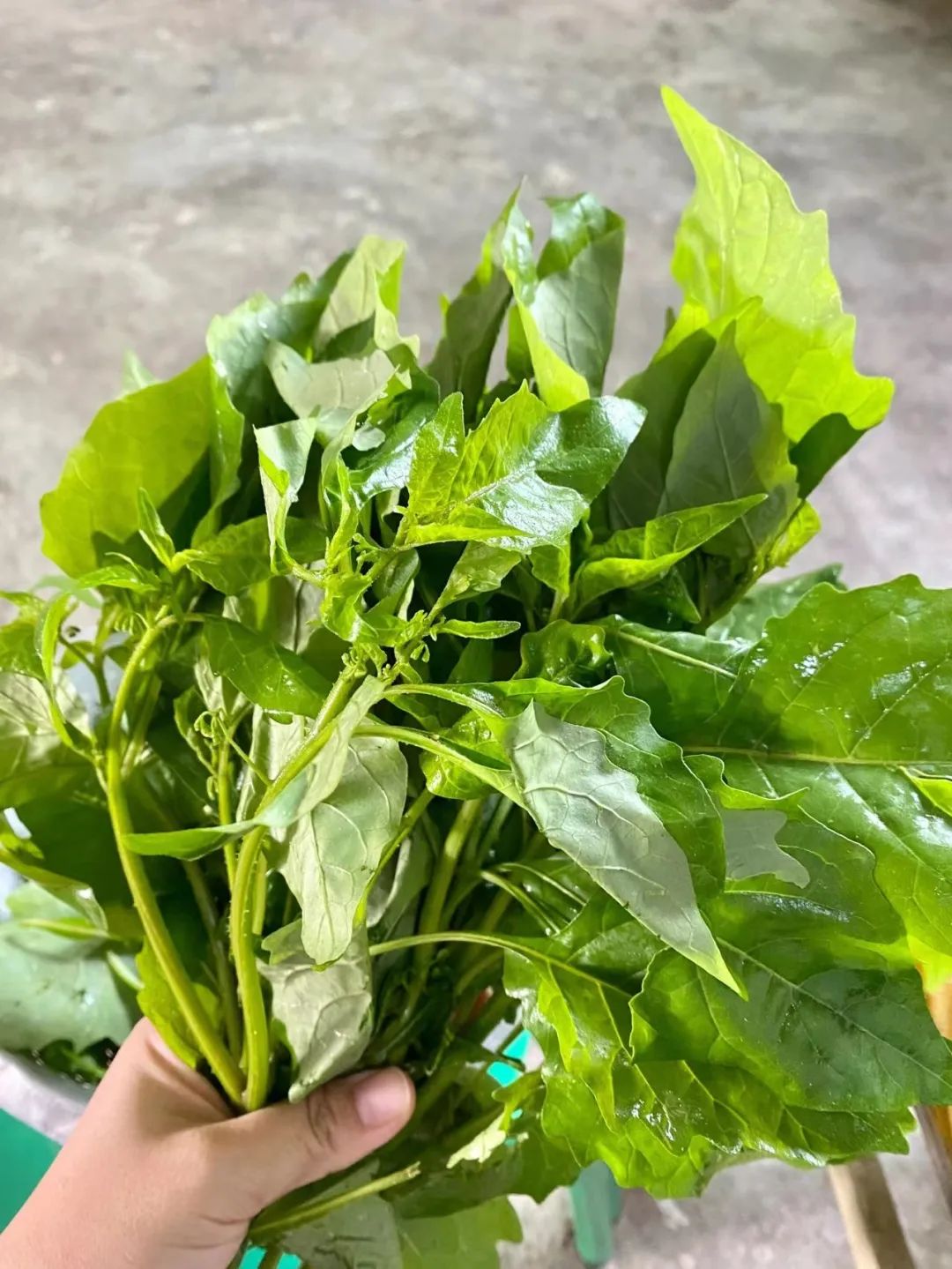 Ẩm thực Vân Nam (Trung Quốc)