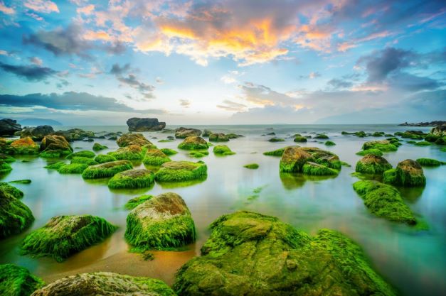 Cẩm nang rong ruổi Đà Nẵng 3 ngày 2 đêm mùa hè 2024