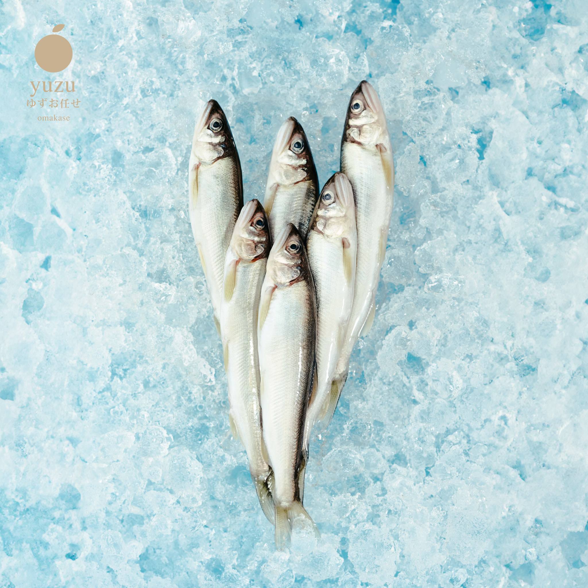 Chinh phục vị giác với 4 địa chỉ Omakase thần thánh tại Sài Gòn