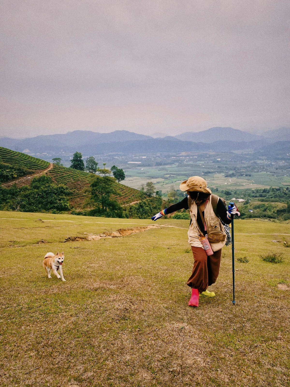 Cẩm nang trekking đỉnh núi cùng chú chó Chopper 3 tuổi