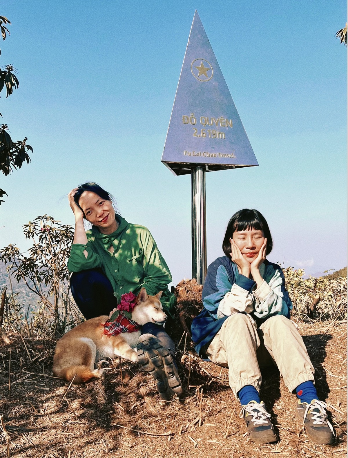 Chú chó trekking 7 đỉnh núi cao Việt Nam