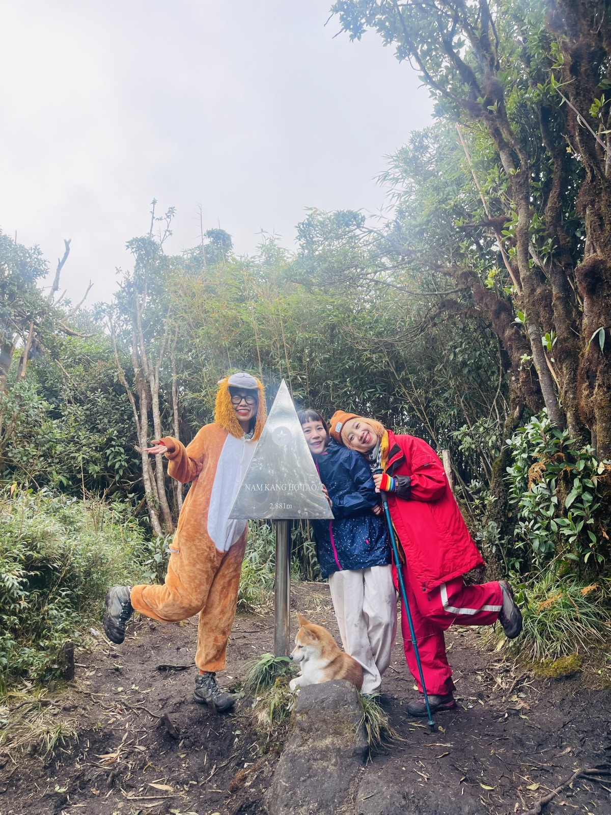 Chú chó trekking 7 đỉnh núi cao Việt Nam