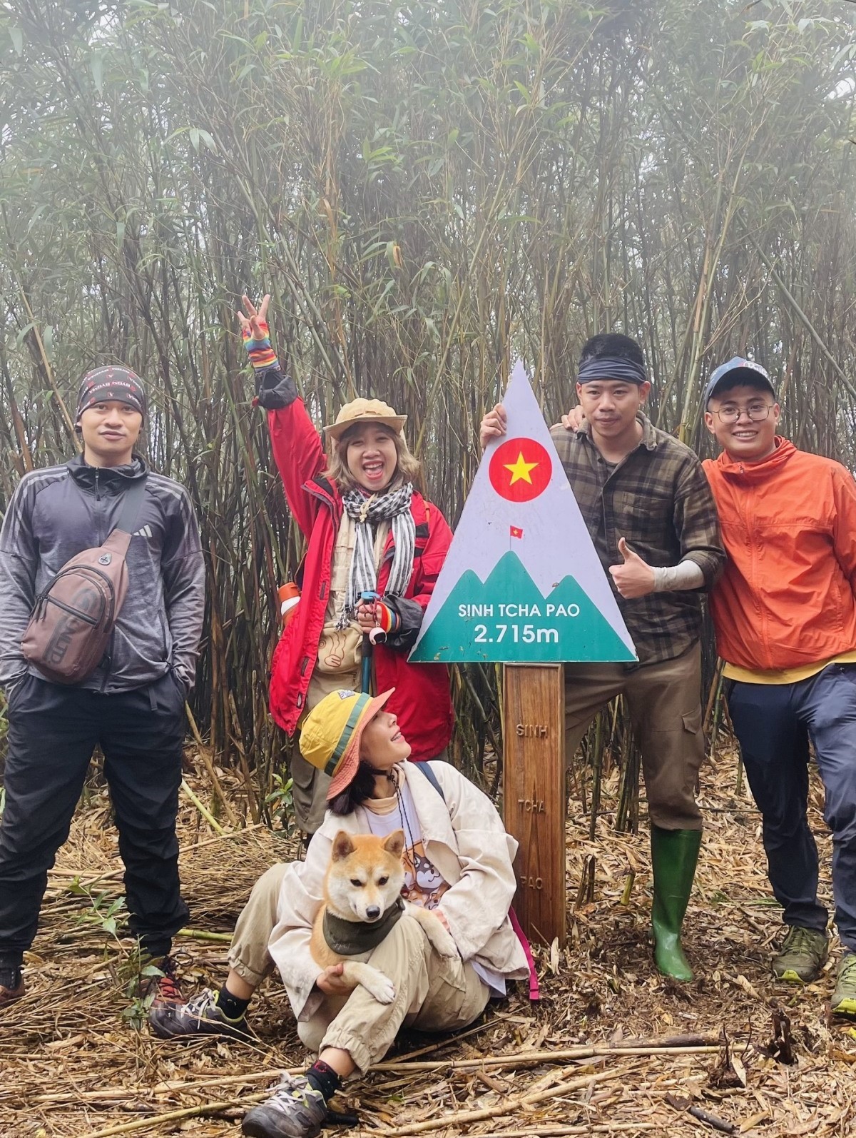 Chú chó trekking 7 đỉnh núi cao Việt Nam