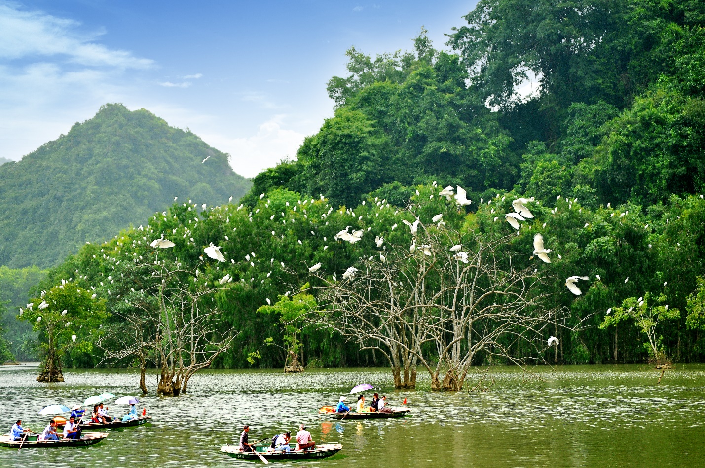 Du lịch Ninh Bình