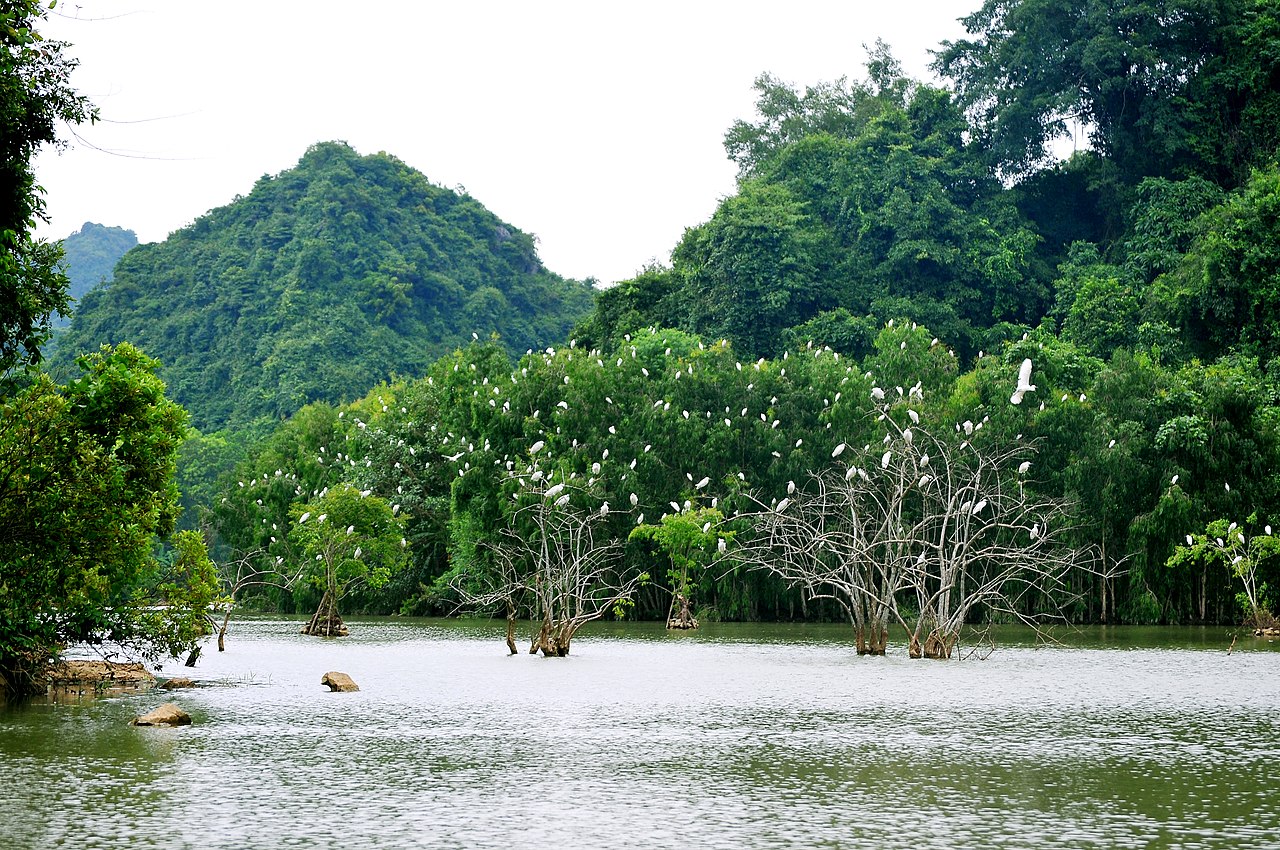 Du lịch Ninh Bình