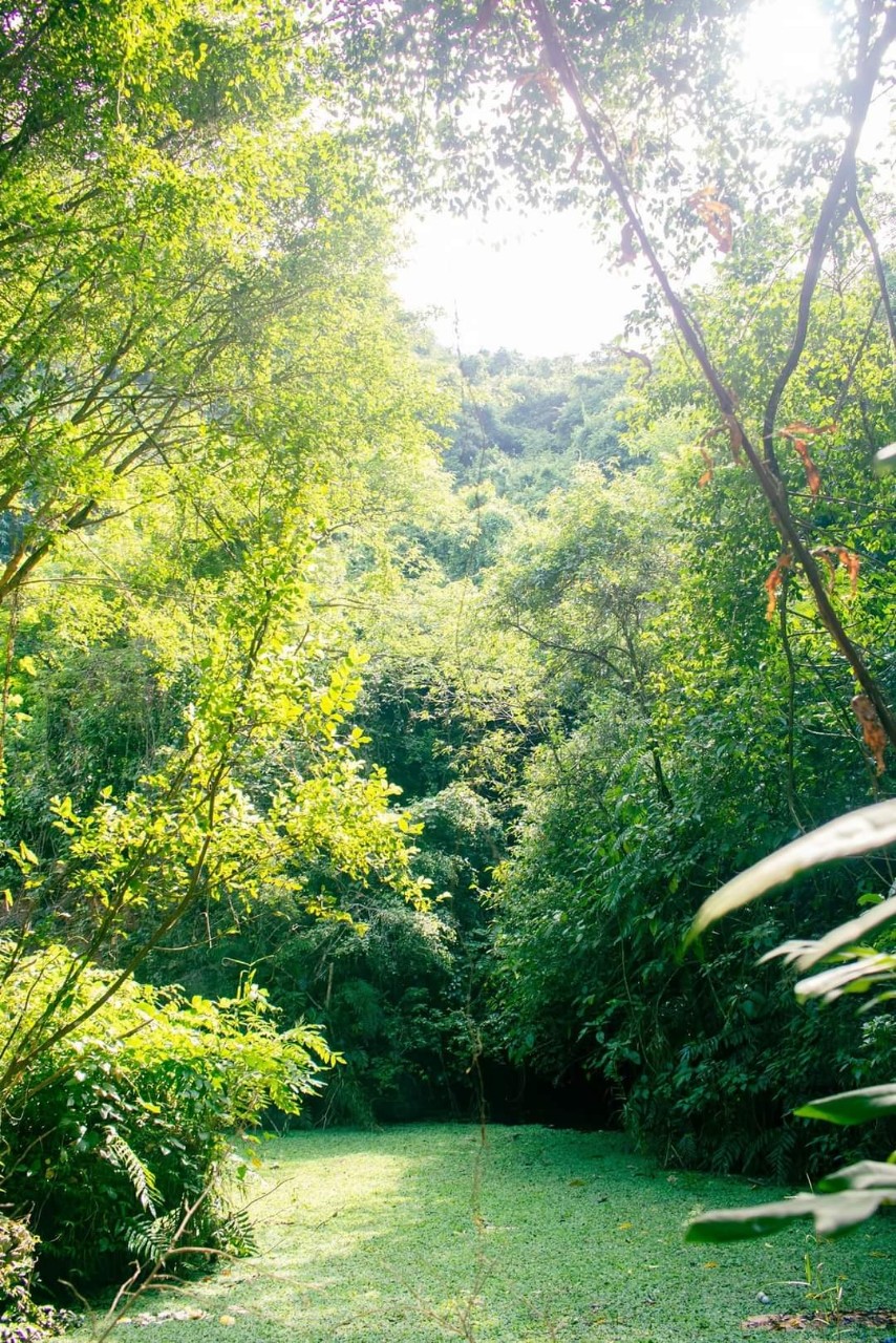 Du lịch Ninh Bình