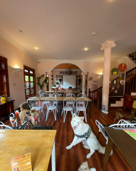  Quán brunch tại Sài Gòn