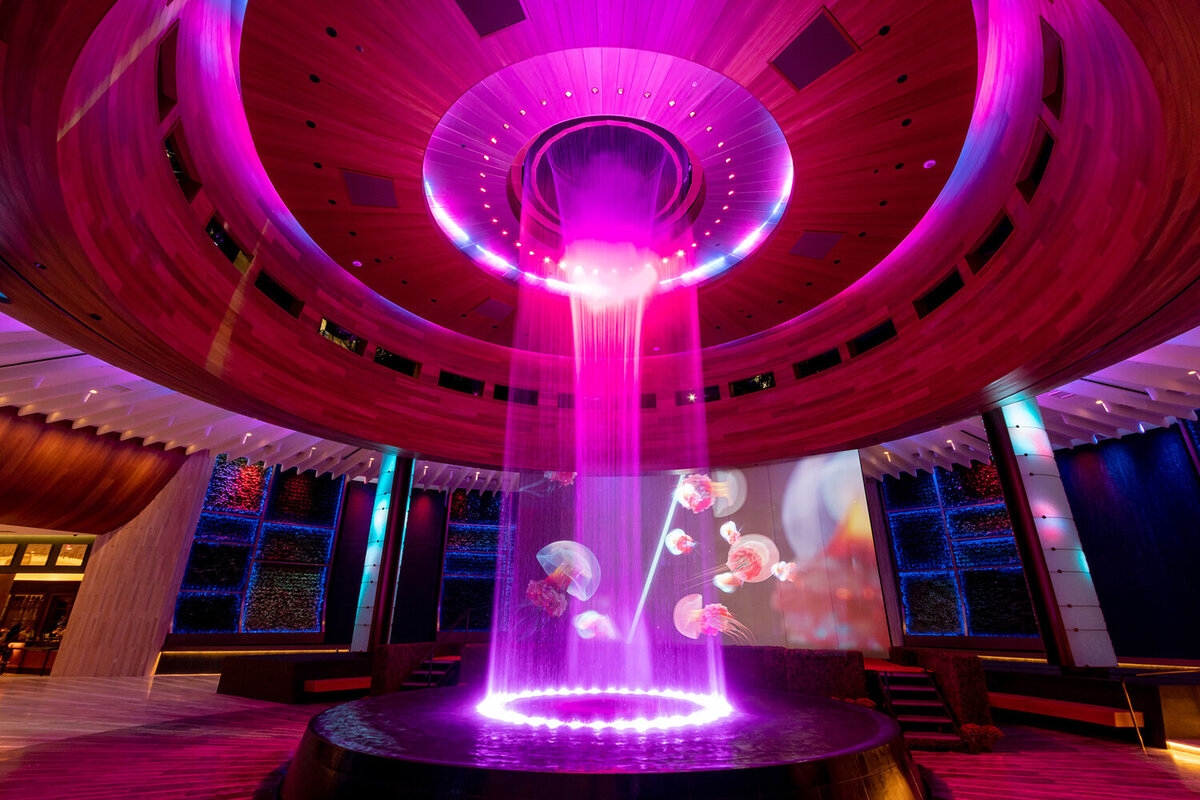 The Guitar Hotel