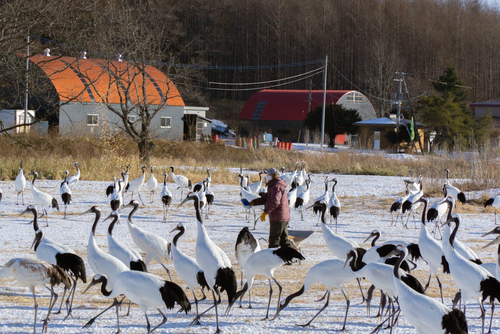 Các trạm dừng chân không nên bỏ lỡ khi đến xứ tuyết Hokkaido