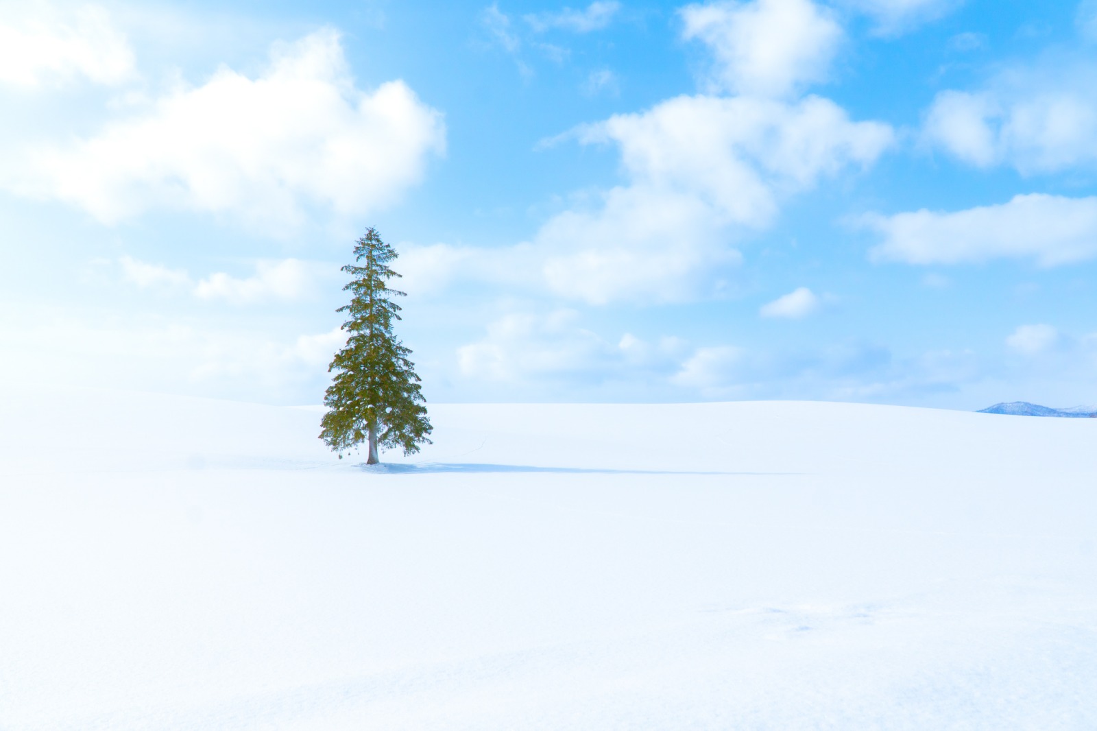 Các trạm dừng chân không nên bỏ lỡ khi đến xứ tuyết Hokkaido