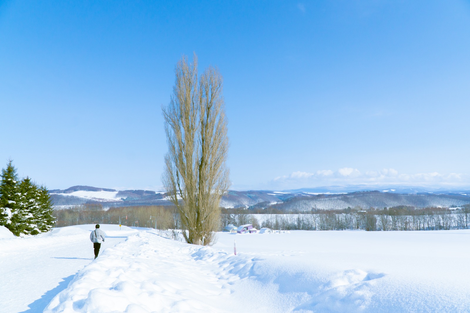 Các trạm dừng chân không nên bỏ lỡ khi đến xứ tuyết Hokkaido