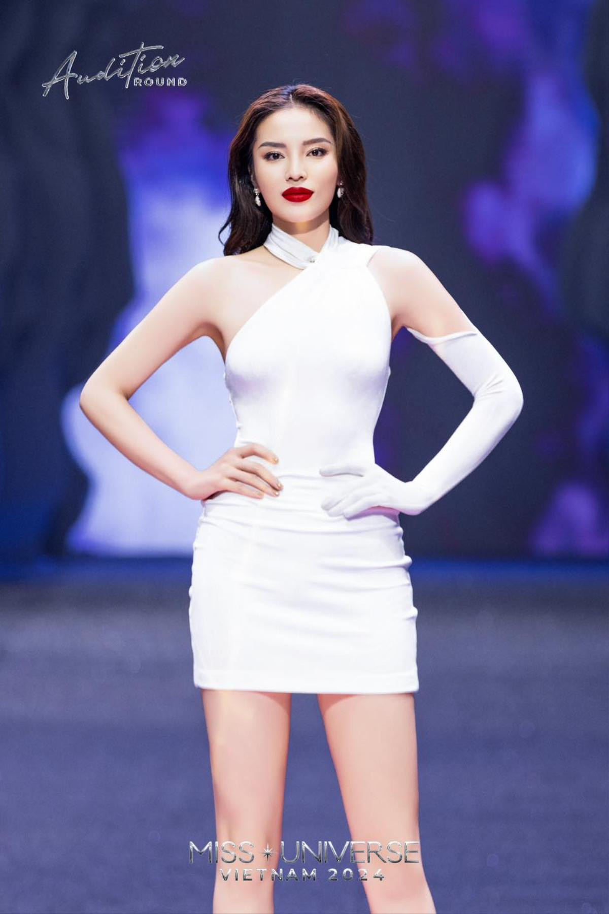 Miss Universe Vietnam 2024