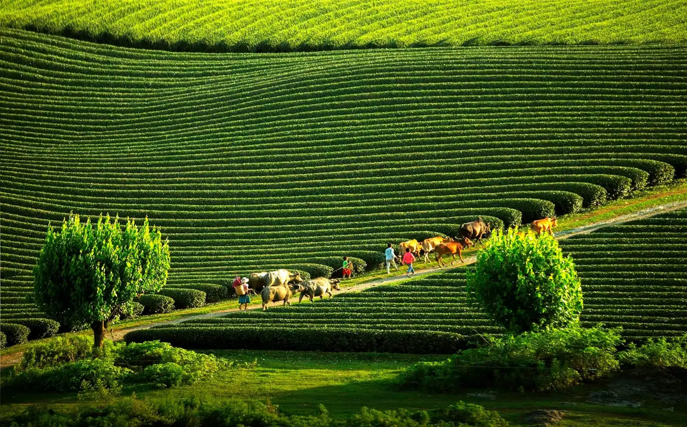 Du lịch Côn Đảo