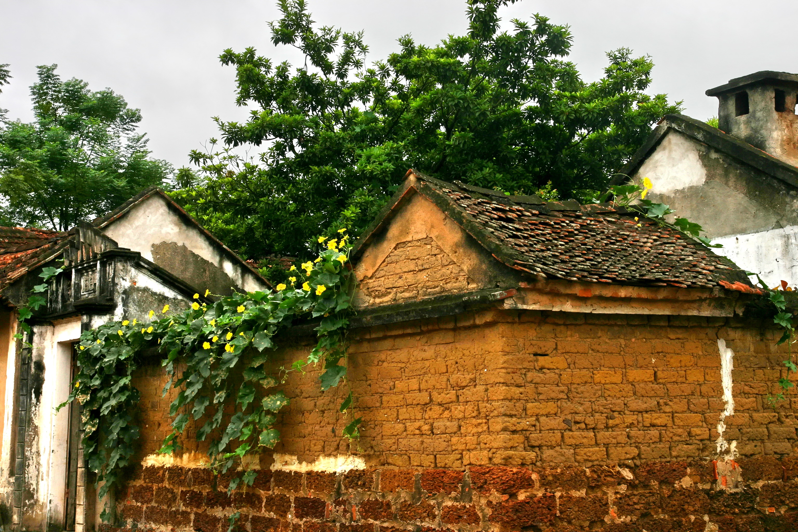 Làng cổ Đường Lâm