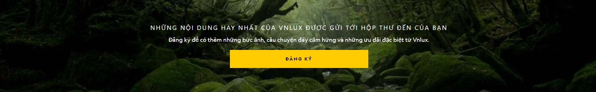 Vnluxury
