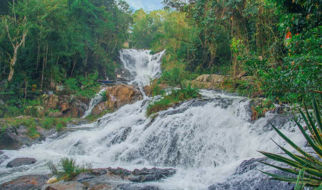 Du lịch Đà Lạt