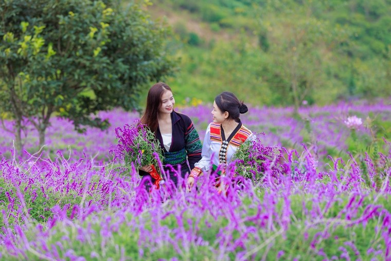 Du lịch Sa Pa