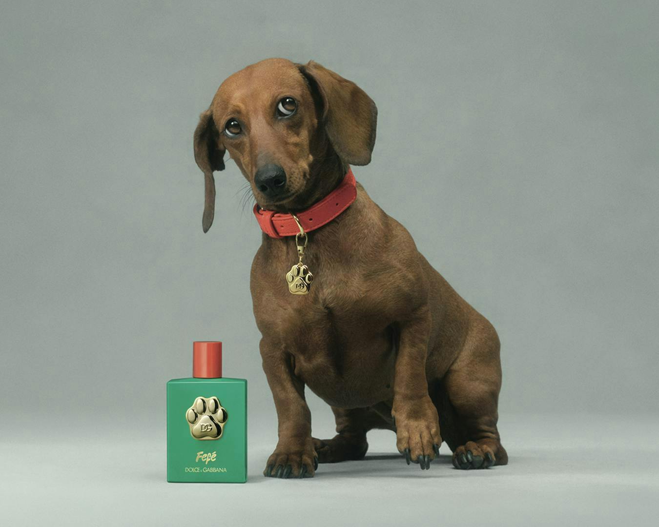 Nước hoa Dolce&Gabbana